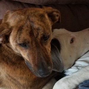 Meet your Posher, Codi